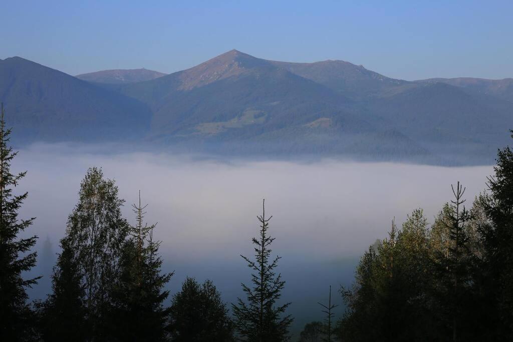 Велика Дзен Хата photo 2
