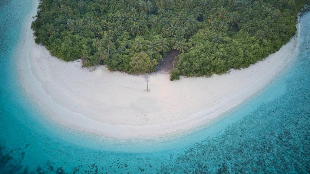 AYIRA Maldives photo 1