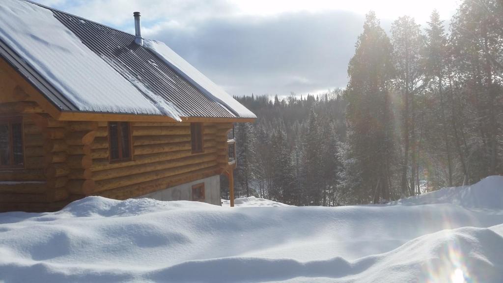Chalet bois rond aux paysages uniques avec Spa !