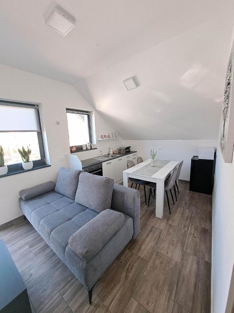 Apartmaji Tisa in Žana photo 1