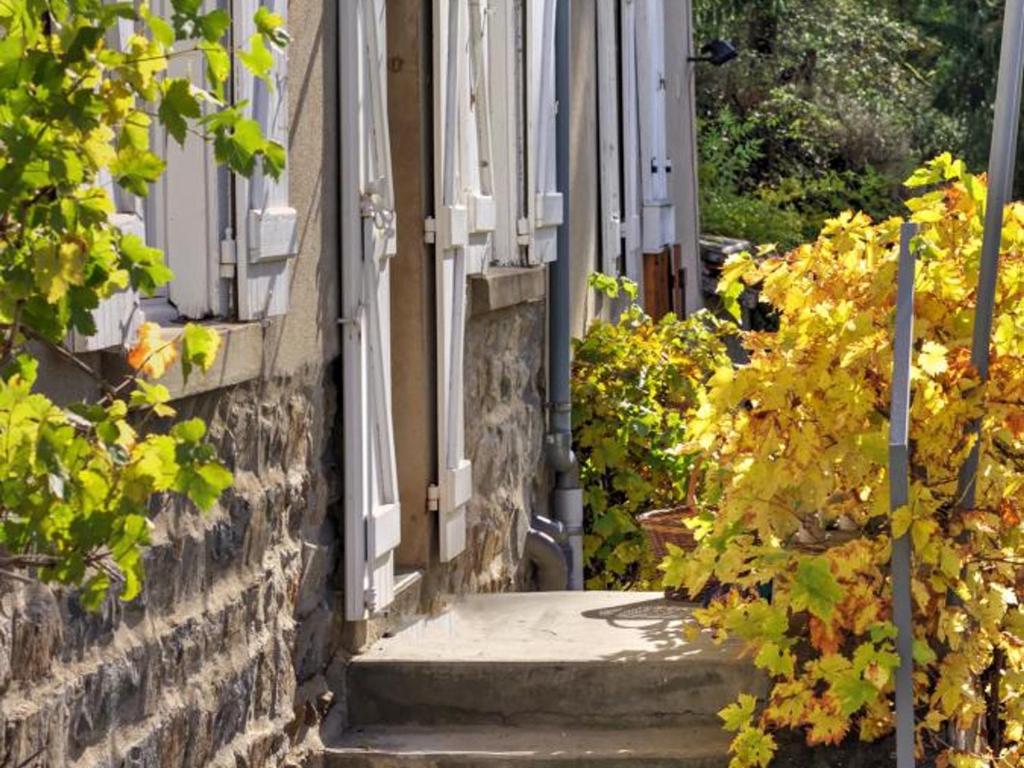 Gîte Saint-Symphorien-de-Lay, 3 pièces, 4 personnes - FR-1-496-278 photo 1