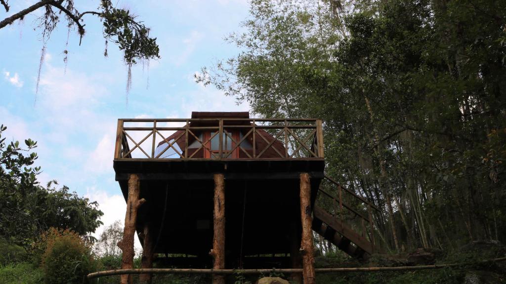 FINCA CELESTIAL photo 2