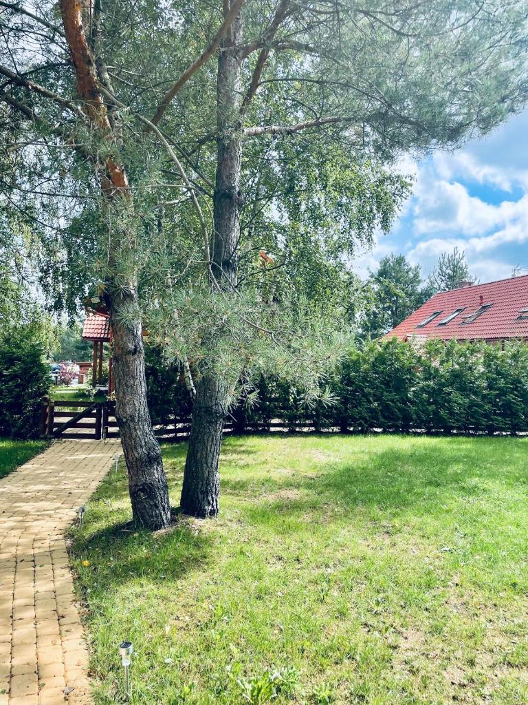 Happy House - Kaszubska Ostoja photo 3