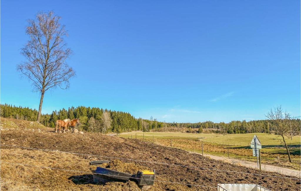 Nice Home In Simlngsdalen With 3 Bedrooms photo 1