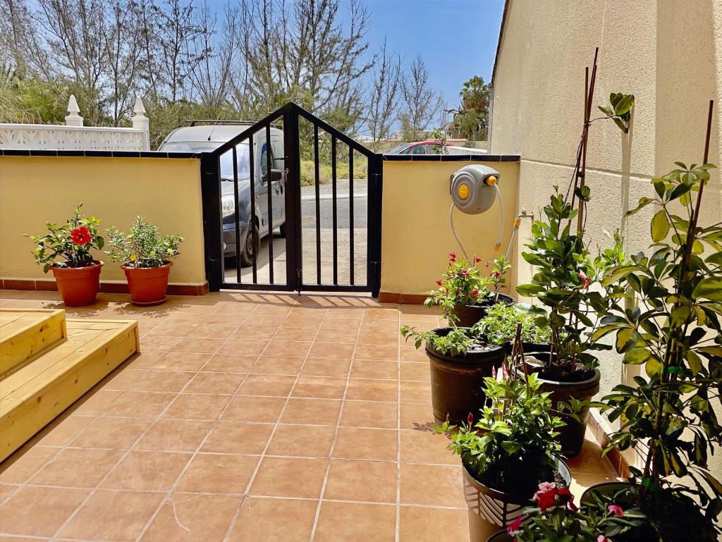 Rückzugsort am Meer mit traumhaftem Ausblick - Casa La Ola, La Lajita photo 4
