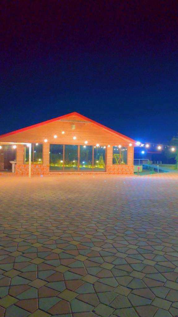 مزرعة السعادة للخيول(المدام) photo 3