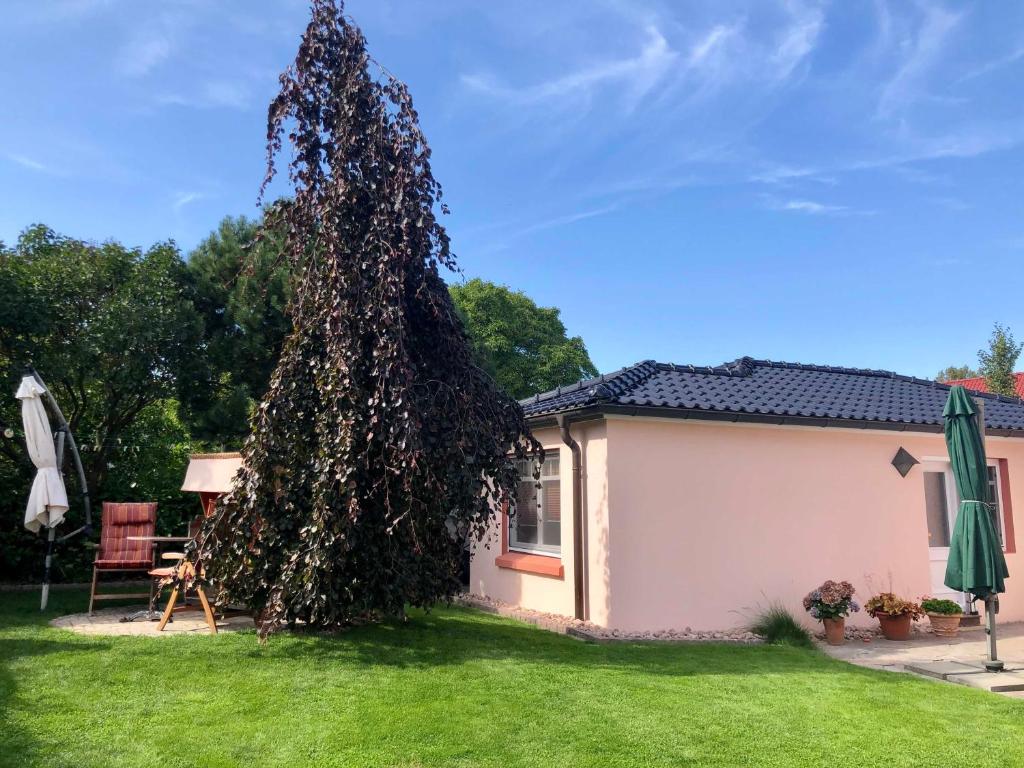 Ferienhaus Swantje photo 4