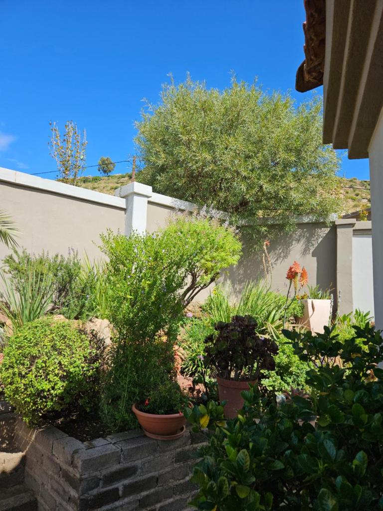 Three Stones Executive Apartments photo 3