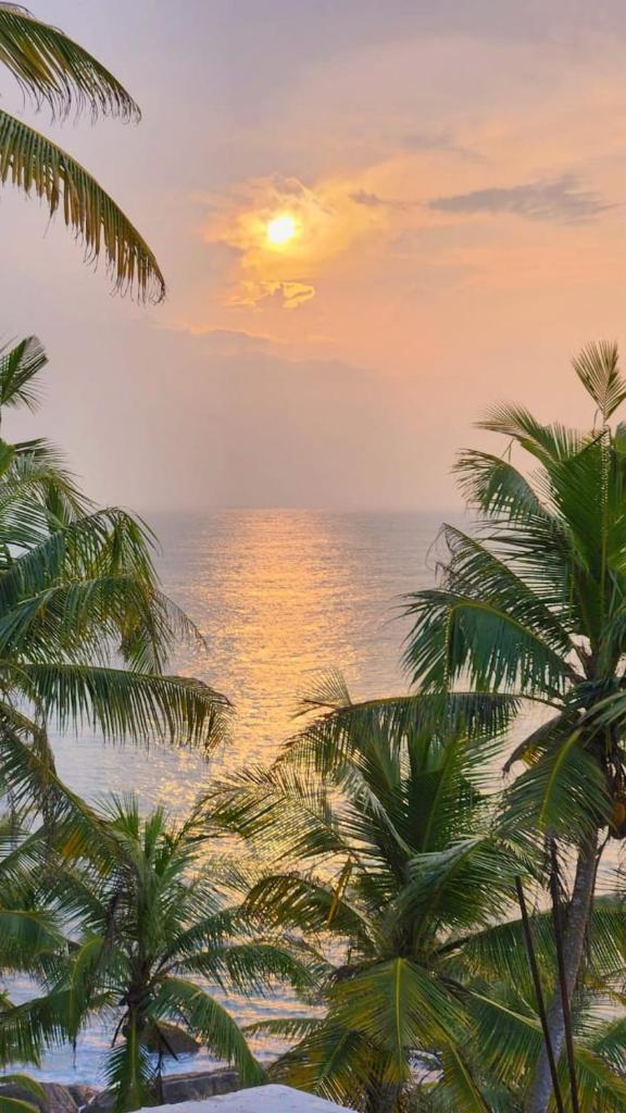 Blue Corals Beach Bungalow photo 4