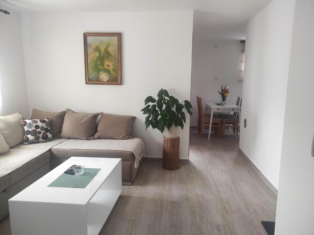 Andrea Airport Apartments photo 4