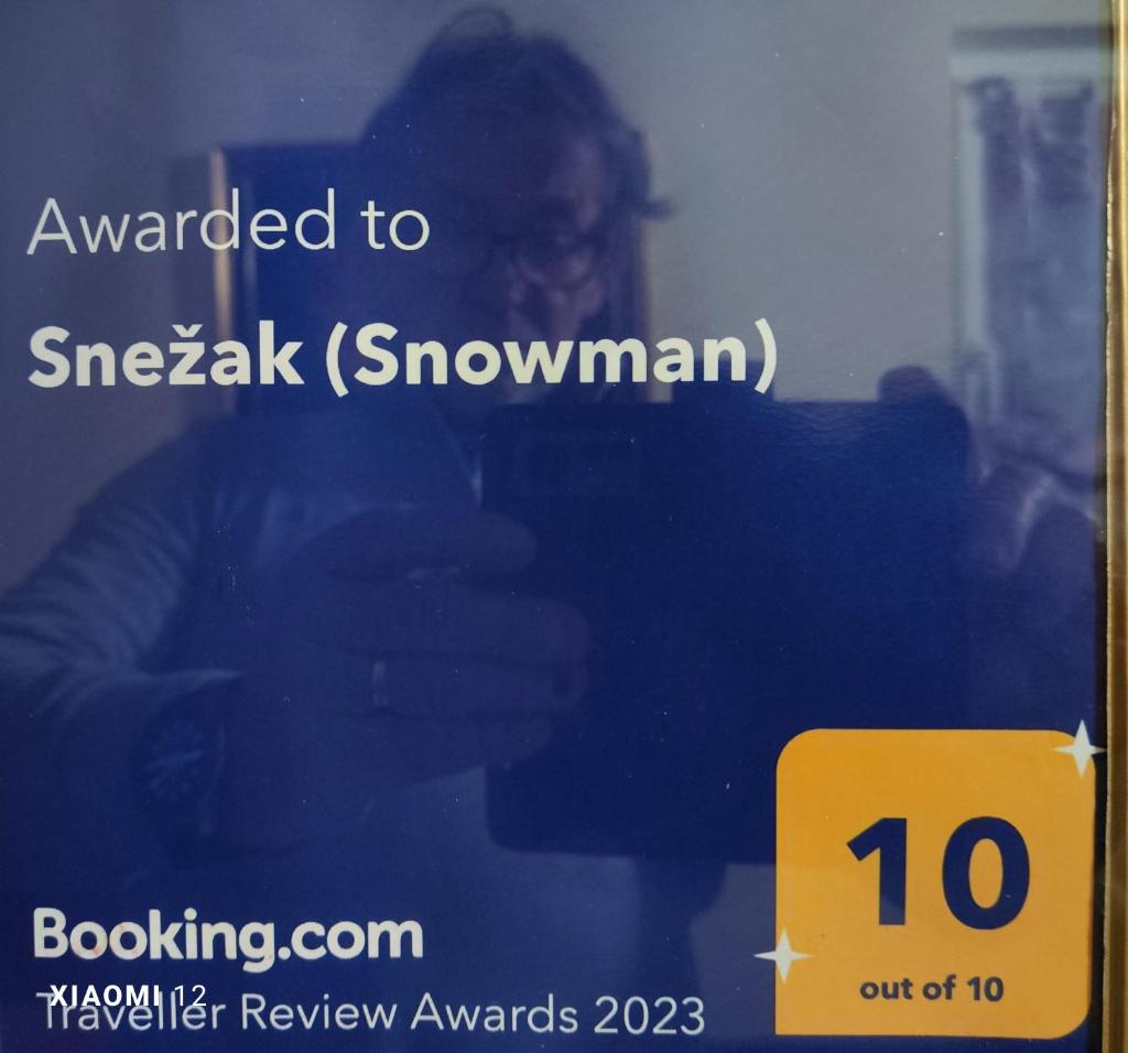 Snežak (Snowman) photo 2