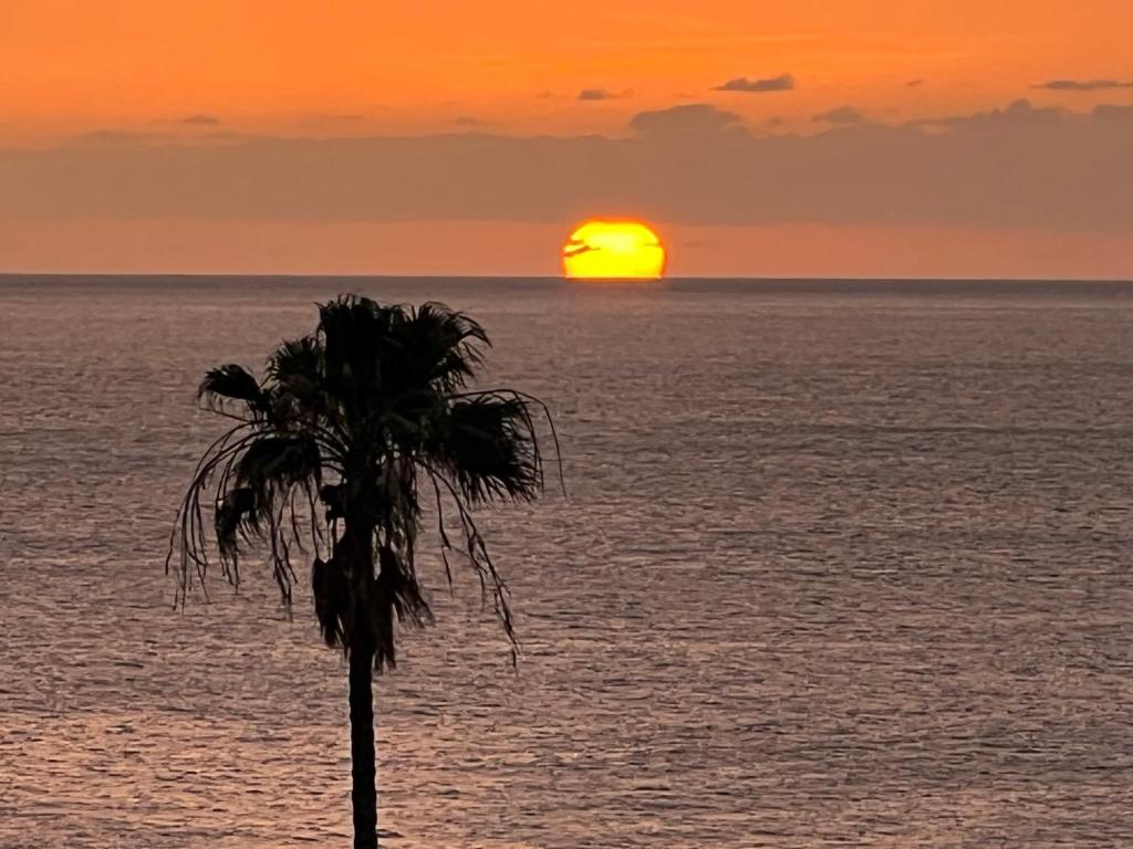 My Ocean - Cliff & Ocean View photo 4