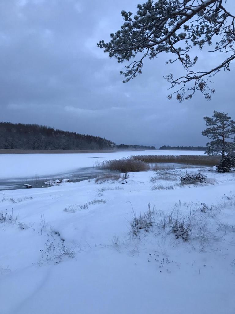 Bastöstugby stuga 17 photo 4