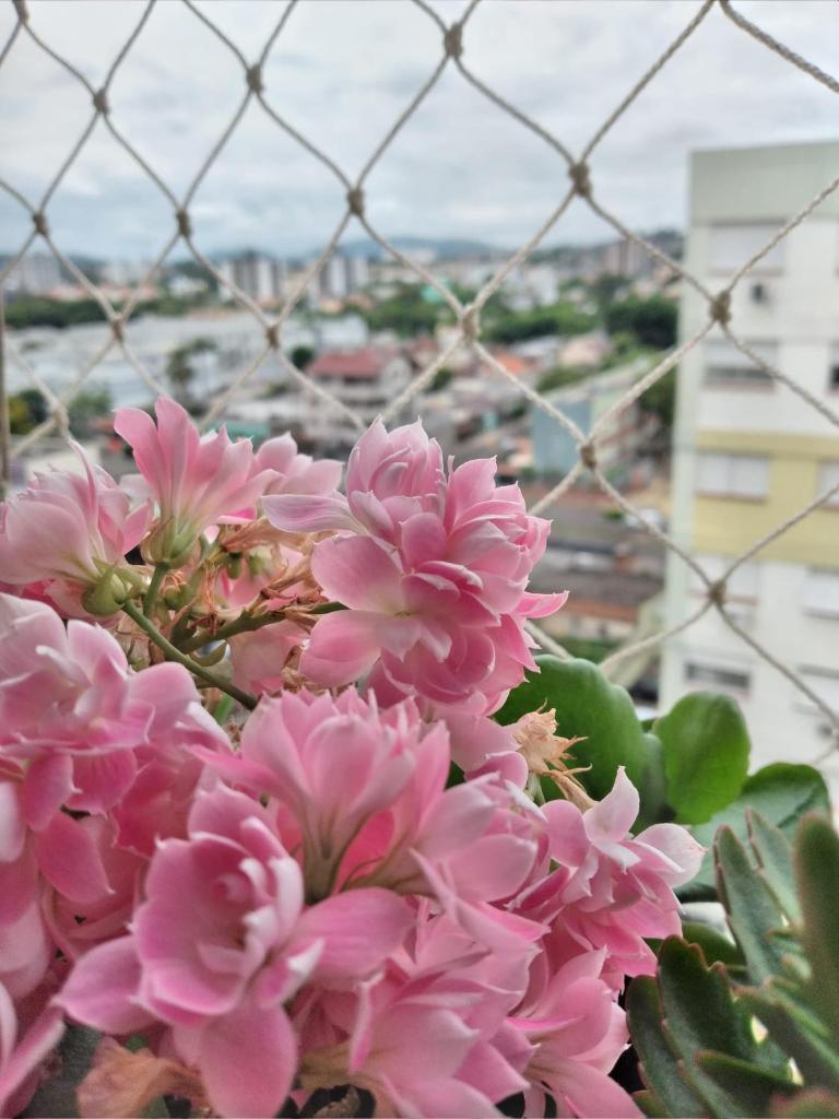 HO1016 photo 3