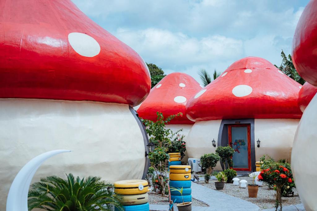 MUSHROOMS INN photo 2