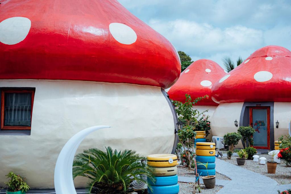 MUSHROOMS INN photo 3
