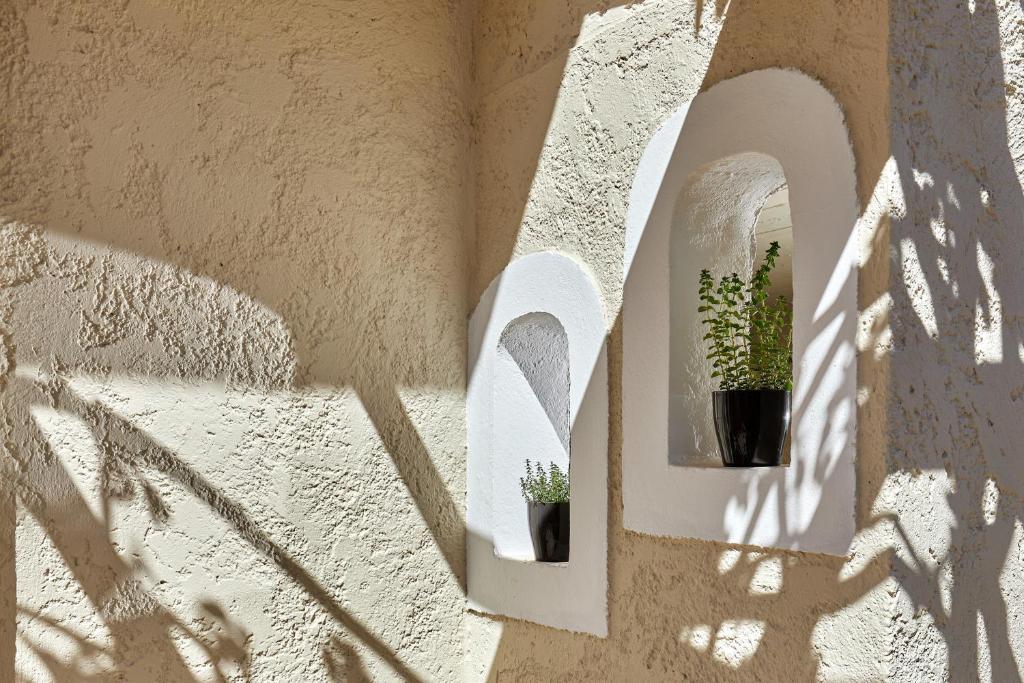 Mila Malia Studios Hotel photo 4