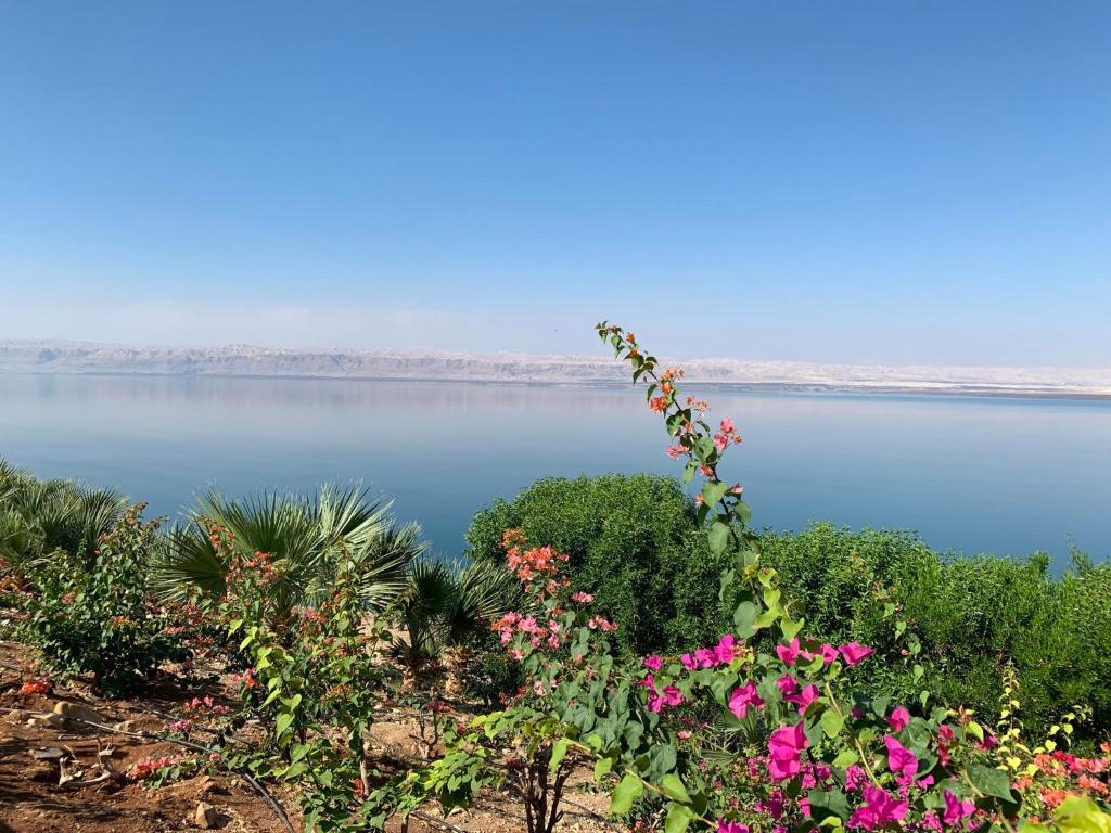 Samarah Dead Sea Resort Apartment with Sea View FP4 Traveler Award 2024 Winner photo 4