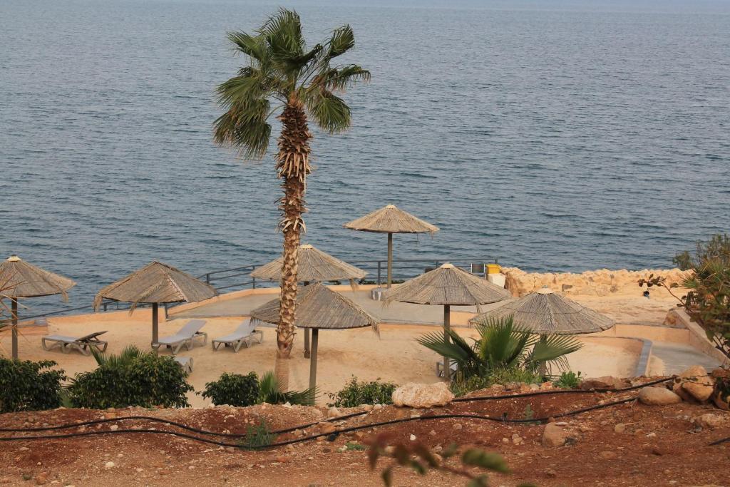 Samarah Dead Sea Resort Apartment with Sea View FP4 Traveler Award 2024 Winner photo 3
