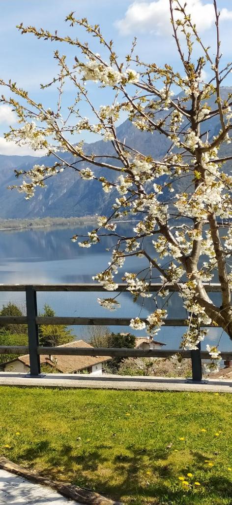 Rocca d'Anfo B&B-Apartments Lake View photo 3