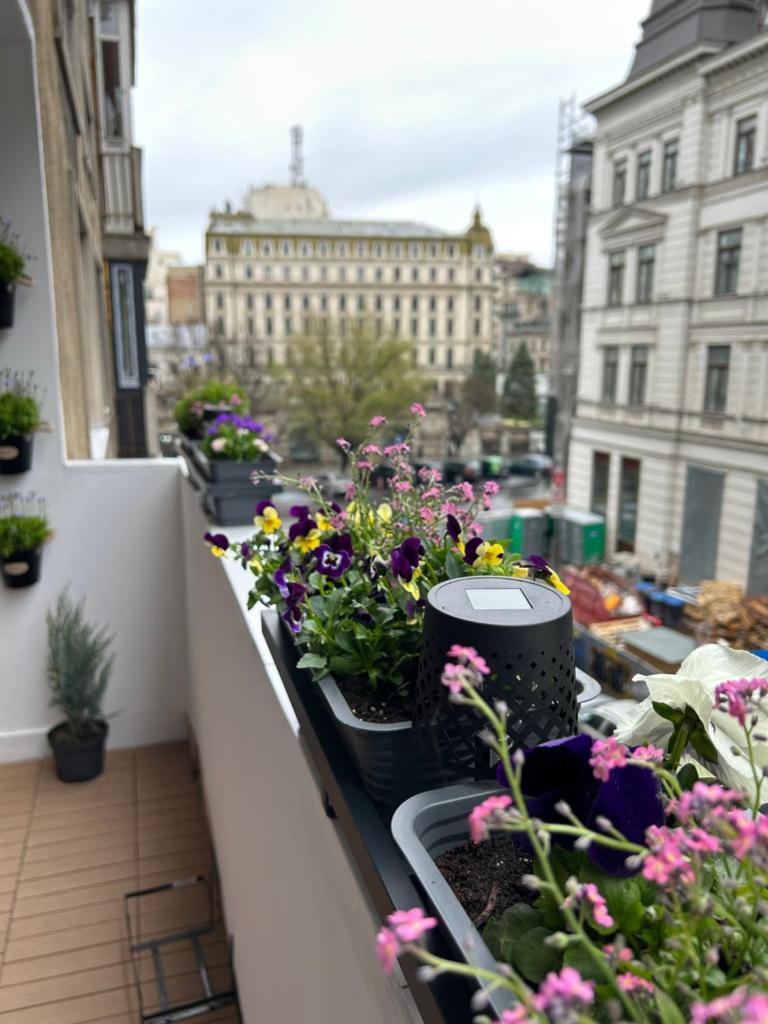 City View Room Type - One-Bedroom Apartment