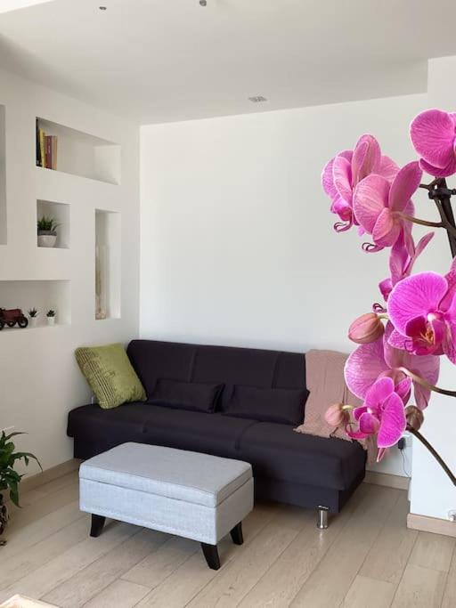 Diego's Apartment - Monza Park photo 1
