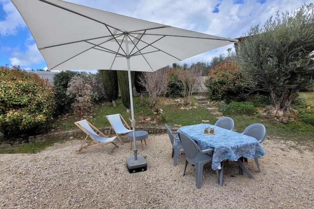 Charmant T2 rénové avec Jardin photo 2