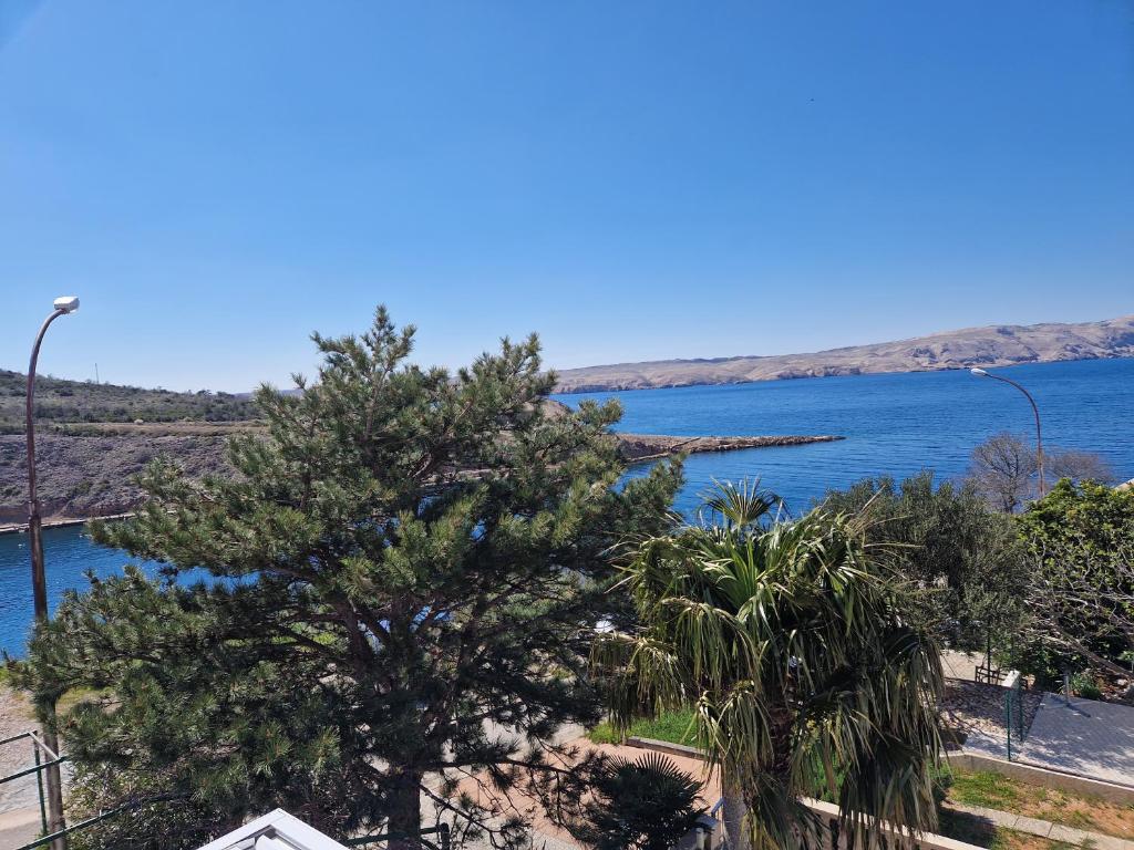 Studio apartman Altea photo 1