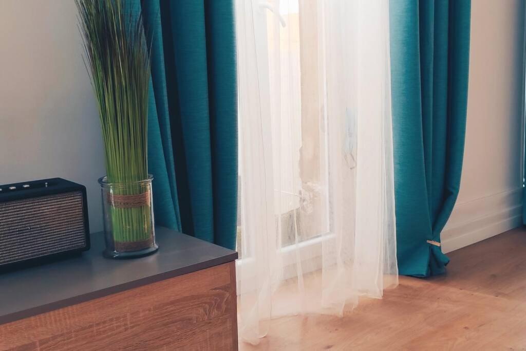 Grand appartement cosy lumineux photo 2