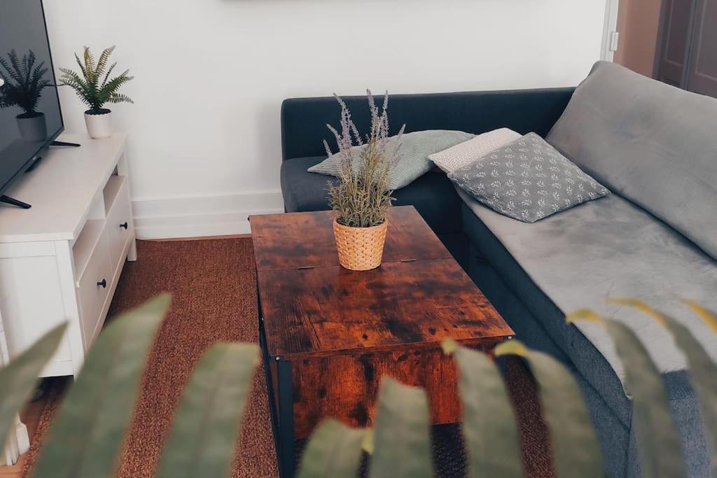 Grand appartement cosy lumineux photo 4