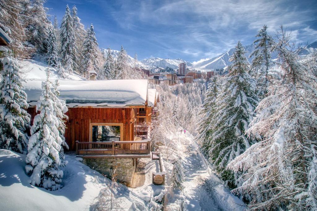 Chalet Dakota, Pied des pistes, 15 pers, La Plagne photo 1