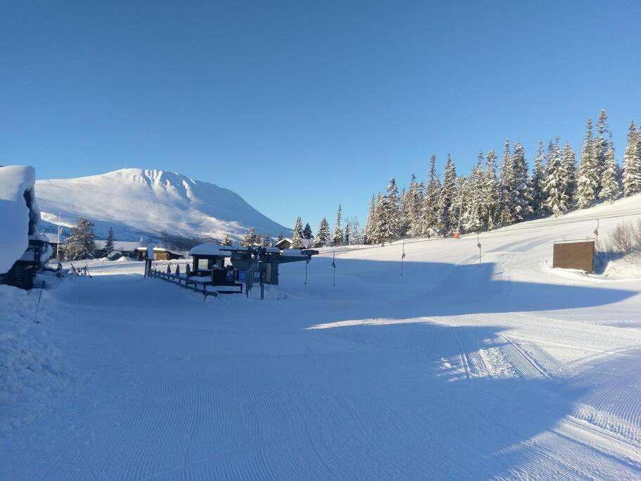 SKI INN/OUT - 4-room apartment w/3 bedroom photo 4