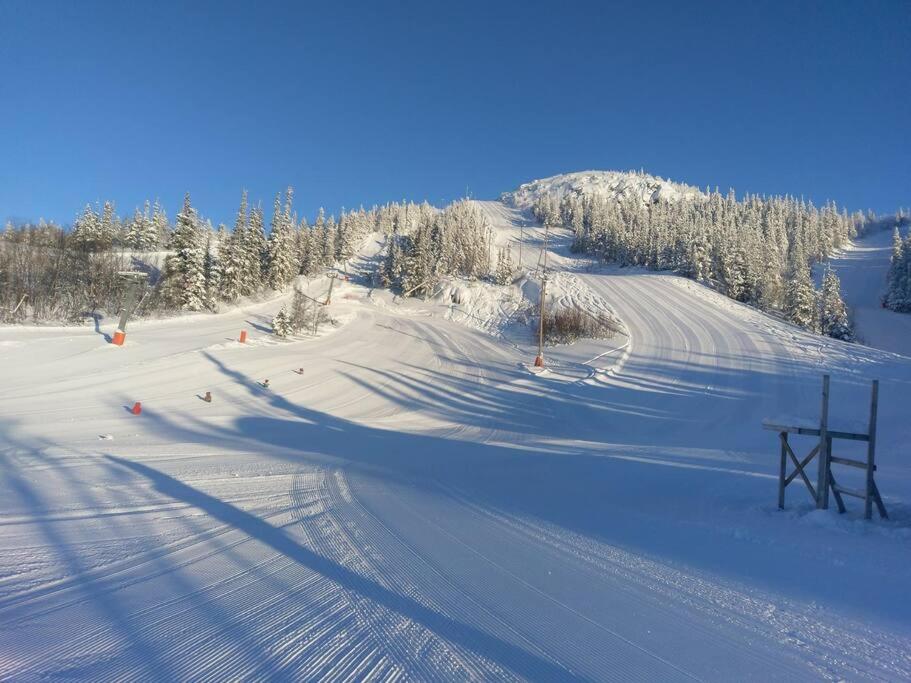 SKI INN/OUT - 4-room apartment w/3 bedroom photo 3