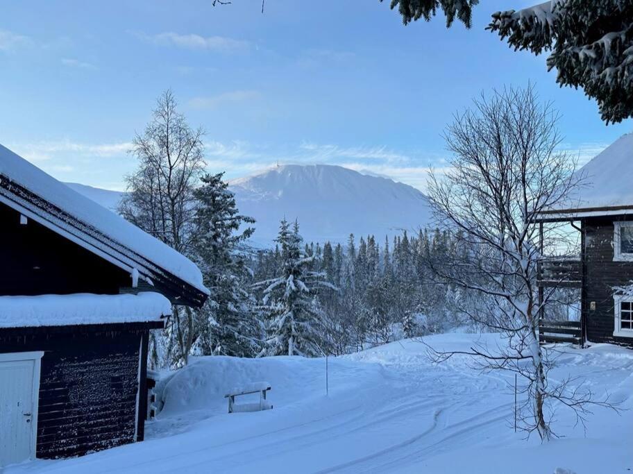 SKI INN/OUT - 4-room apartment w/3 bedroom photo 2