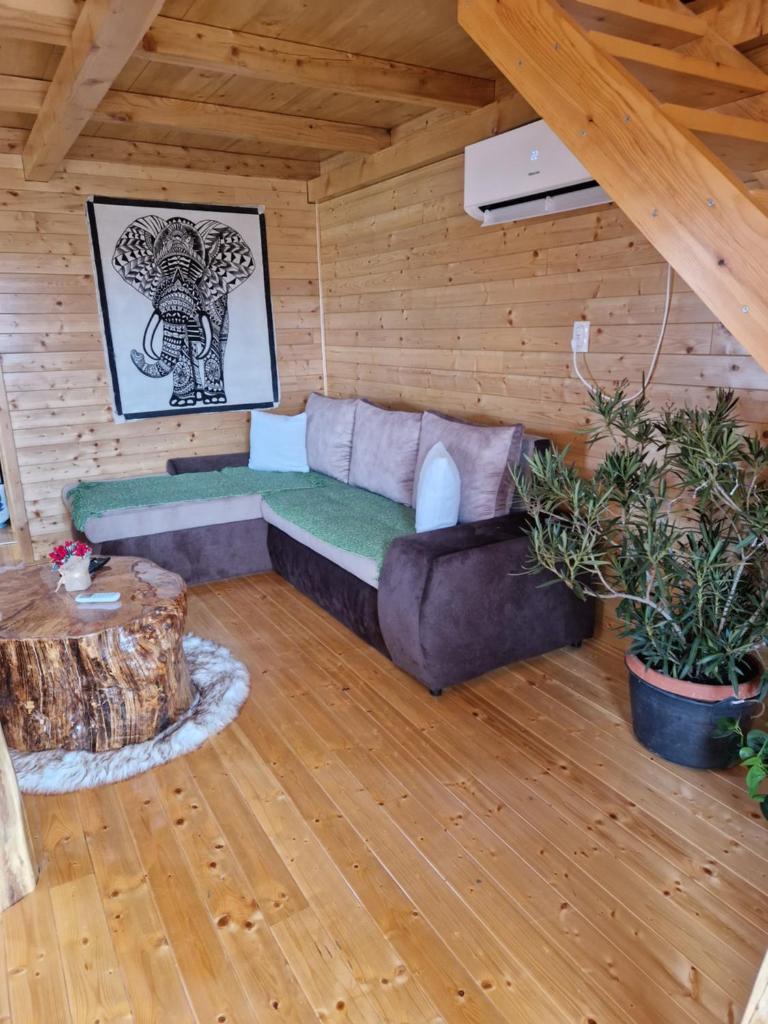 Mandala apartman