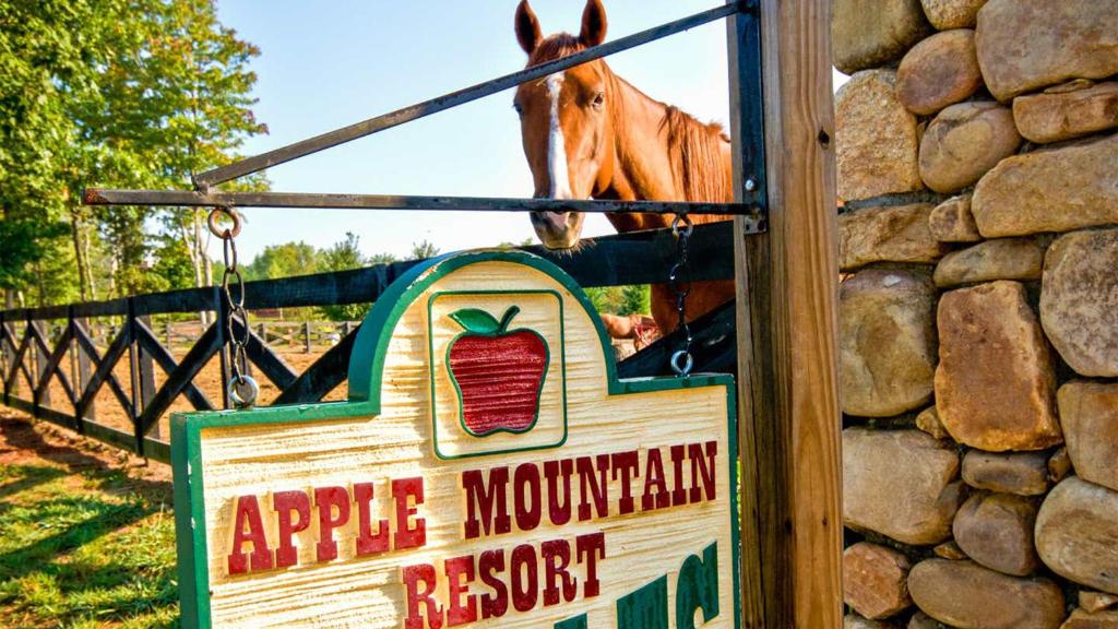 Holiday Inn Club Vacations Apple Mountain Resort at Clarkesville photo 2