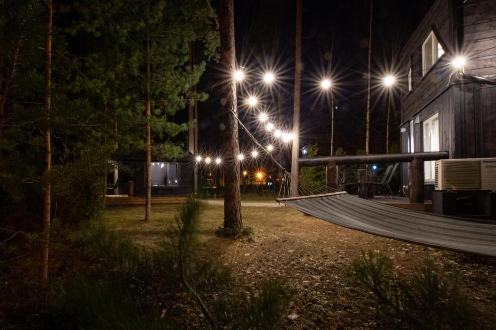 Reiu Holiday Home photo 1