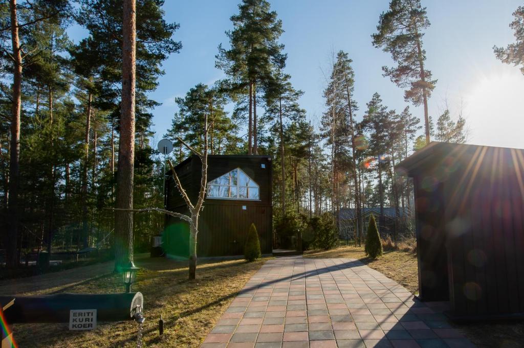 Reiu Holiday Home photo 2