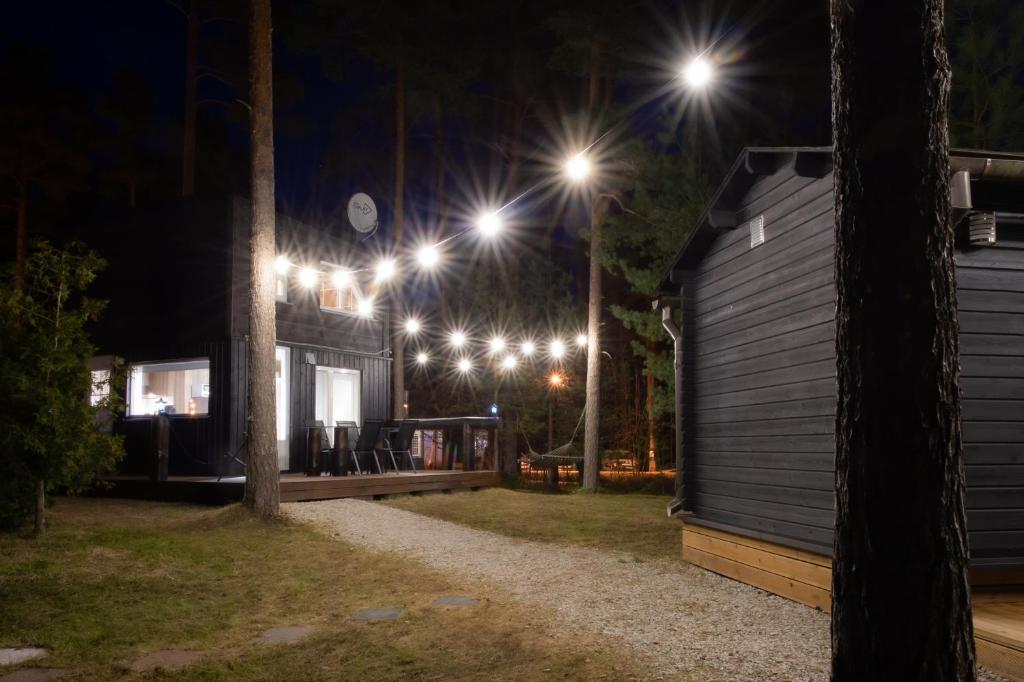 Reiu Holiday Home photo 3