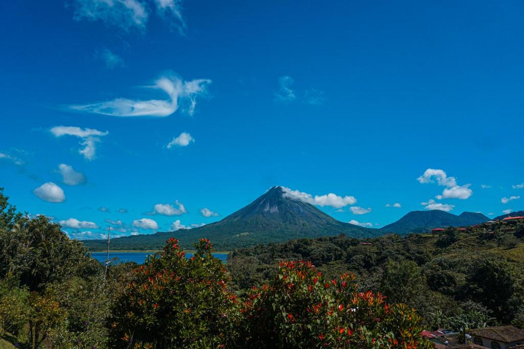 Chateau Arenal Hotel & Restaurante photo 2