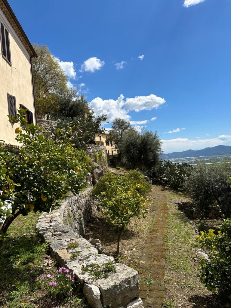 La bella vista photo 4