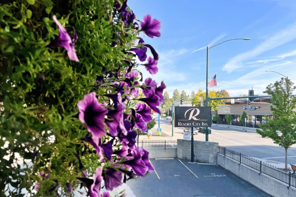 Resort City Inn Coeur d'Alene image