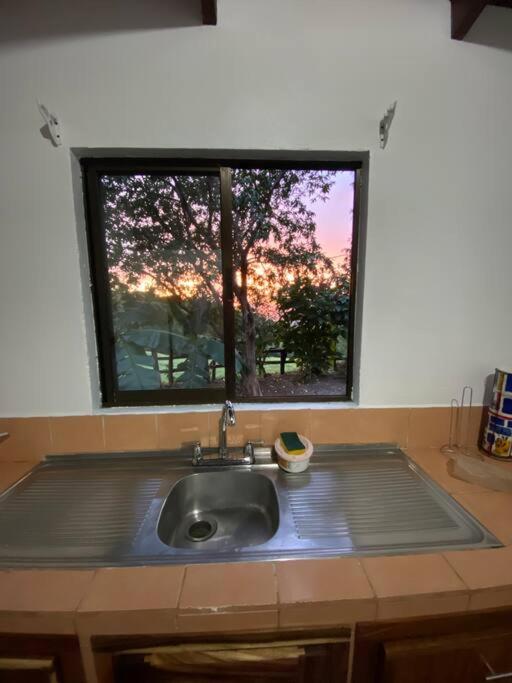 Eloys Place photo 4