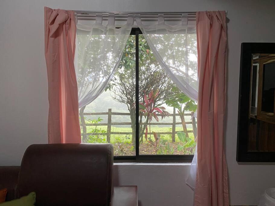 Eloys Place photo 2