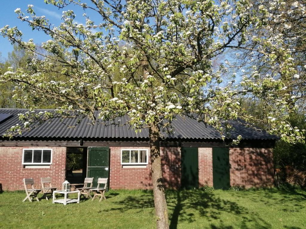 De Langenbrinck Eerlijk Heerlijk overnachten in blokhut en ingerichte tent