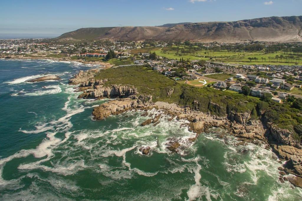 Wild Waters at Kraal Rock on the cliffs in Hermanus photo 2