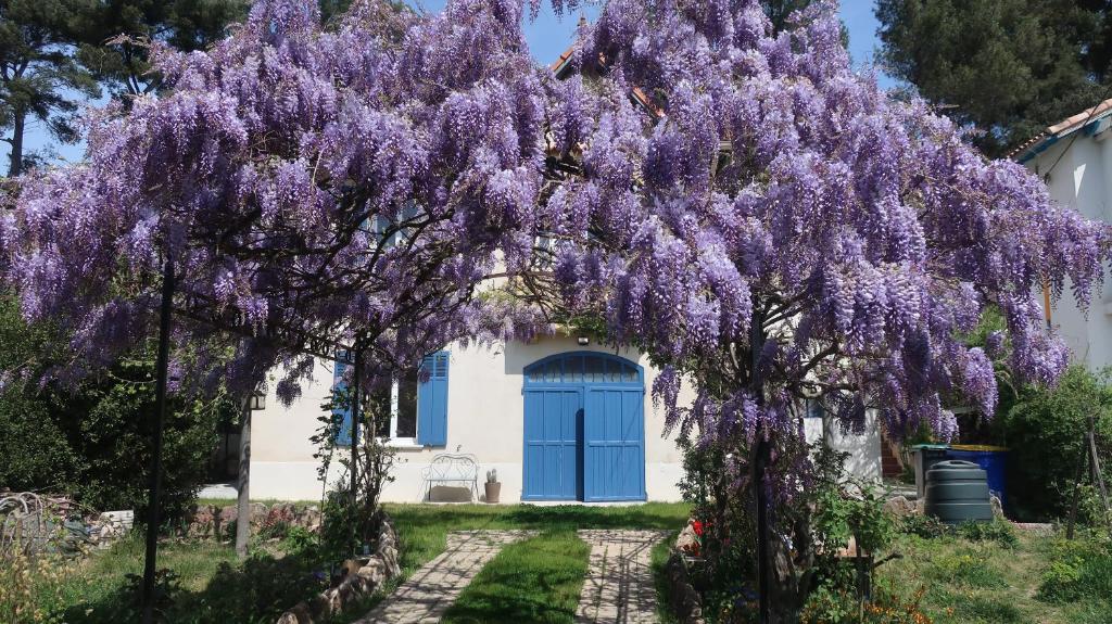 Appartement en Provence photo 1