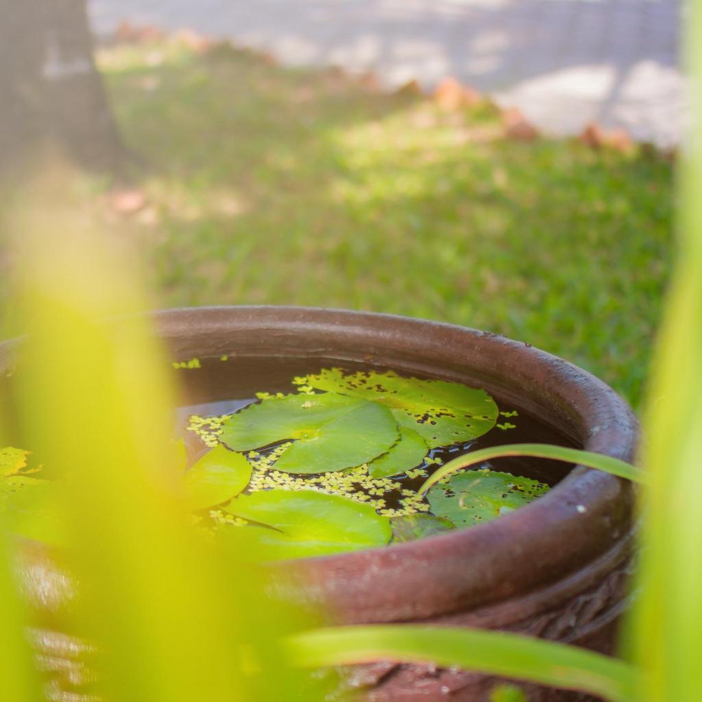 Ben Tre Riverside Resort
