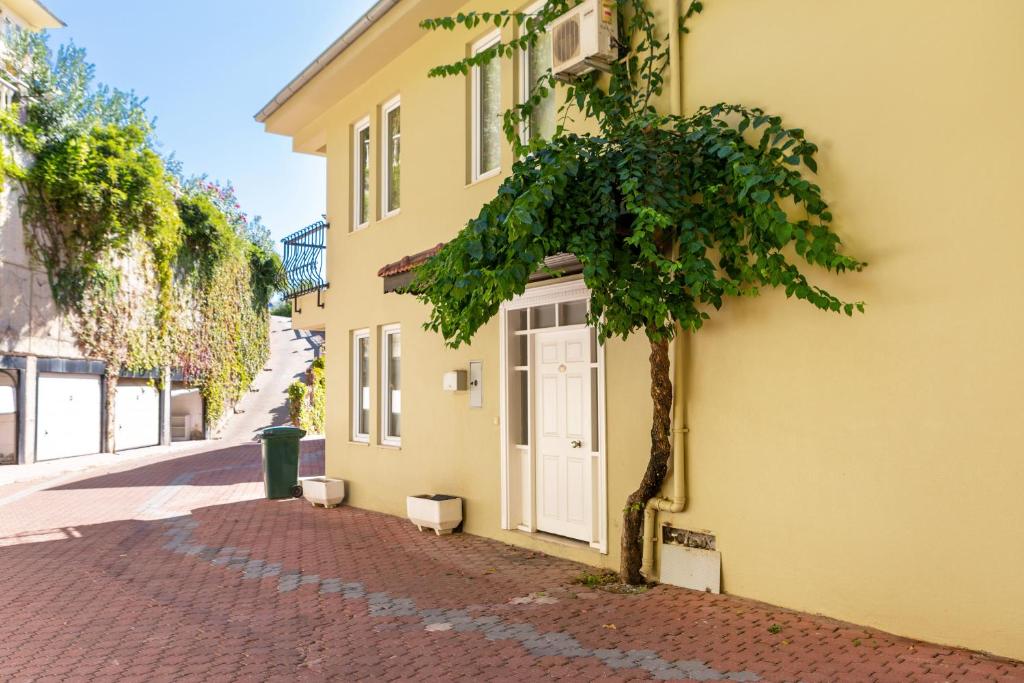 Gold City Luxury Accommodation photo 2