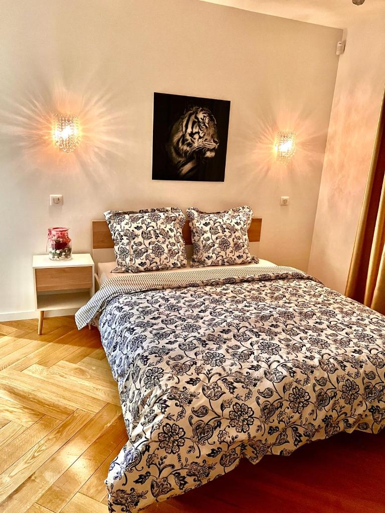 Alexandru Home photo 4